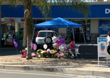 A 3-year-old left in a running truck at Northern California gas station was behind the wheel when it hit and killed a 2-year-old