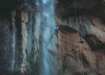 “The Enduring Impact of Sports on Human Culture”