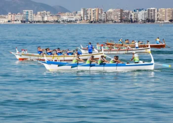 “The Universal Language of Sports: Uniting People Across Cultures”