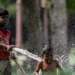 Summer scorch: Climate experts raise alarms amid record global heat