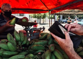 “Cracking the Code: The Rewards of Embracing Economía”