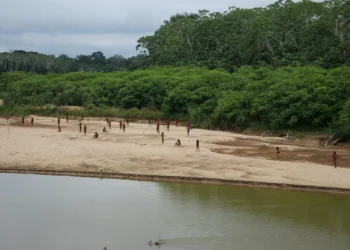 Emergence of Peru’s largest uncontacted tribe sparks logging concerns