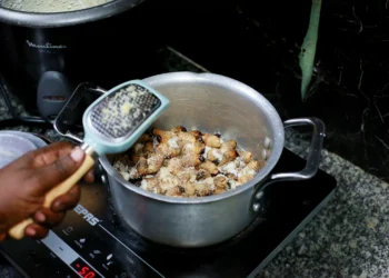 Singapore greenlights 16 insect species for food consumption