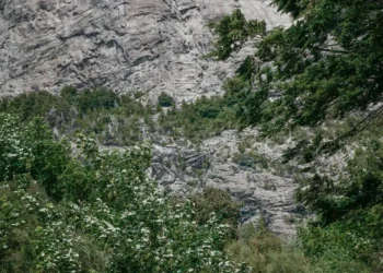 “The Transformative Power of Art and Entertainment”