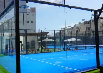 “The Power of Sports: A Universal Language of Joy and Unity”