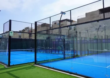 “The Enduring Impact of Sports on Human Society”