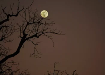 “Uncovering Mexico’s Hidden Gem: Salud, Hidalgo’s Charming Town”