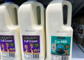Seaweed-fed ‘eco-milk’ hits shelves, reducing cow methane emissions