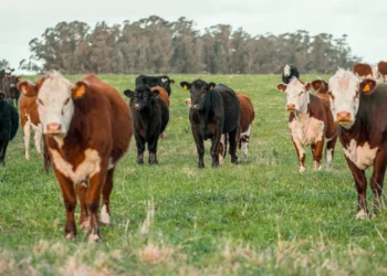 “The Power of Economía: Driving the World Forward”