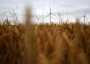 Turning the tide: Innovative solutions offer hope against climate change