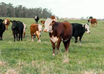 “Exploring the Surprising Depth of : Beyond Numbers and Graphs”