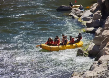 “The Enduring Impact of Sports on Society”