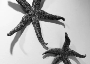 “Enriching Lives: The Power of Art and Entertainment”