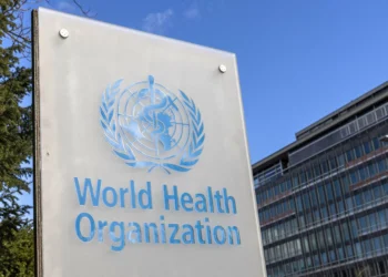 WHO calls for urgent action on antibiotic waste, resistance