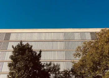 “Exploring the Vitalit of Art and Entertainment”