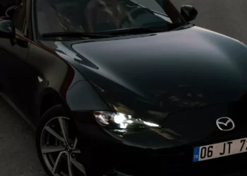 “The Impact of Social Networks on Daily Life”