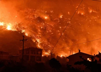 Urgent action needed to prevent climate catastrophe: Report warns