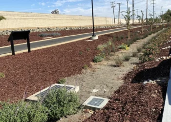 Pittsburg’s ‘Living Green’ project revitalizes area with new walking trail