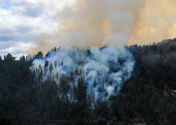 Wildfires surge due to climate change, endangering health