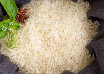 Gujarat HC issued another ‘arrest’ warrant against merchant vessel SW South Wind I