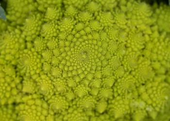 “Discovering Salud: A Hidden Gem of Culture and Beauty”