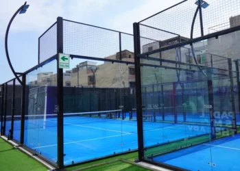 “The Crucial Role of Sports in Human Society”