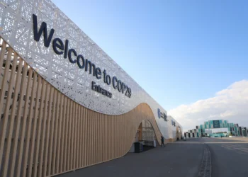 Türkiye set to unveil long-term climate strategy at COP29