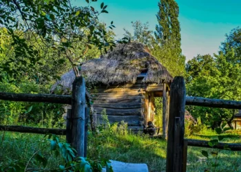 “The Evolution of Economía: From Barter to Global Economy”