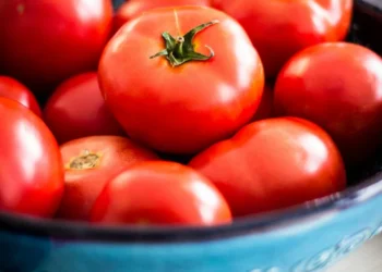 “Discovering the Hidden Gem of Salud, Mexico”