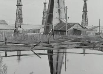 “The Transformative Power of Economics: Understanding Resource Allocation”