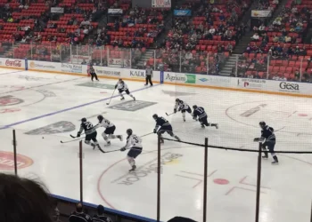 “The Enduring Impact of Sports on Human Society”