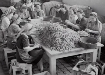 “The Evolution of Economía: From Barter to Global Economy”