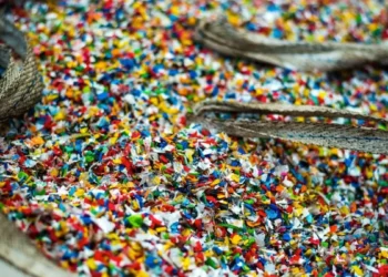 Scientists Detect Rising Microplastics in Human Brains, Study Raises Concerns