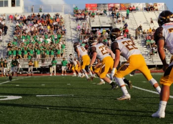 “The Power of Sports: Fueling Our Passion from Youth to Adulthood”