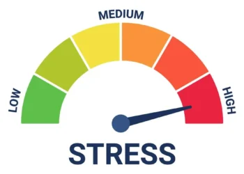 Stress on small-, mid-cap MF schemes persist even as stocks crash