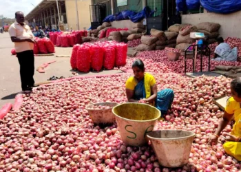 India to scrap 20% onion export duty from April 1