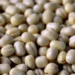 Govt extends duty-free imports of urad till March 31, 2026