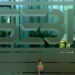 SEBI eases REITs/InvITs’ framework for fast-track follow-on offers