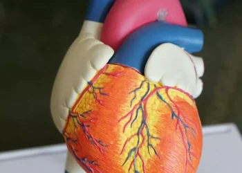 “Discovering the Hidden Gem of Salud: A Charming Town Experience”