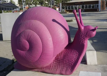 Journey of a snail: Embracing sustainable lifestyle in Cittaslow