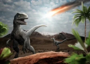 Dinosaurs Weren’t Doomed Before the Asteroid Hit, New Research Suggests