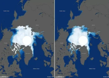 New Study Reveals Recent Ice Gains in Antarctica, But Long-Term Melting Continues