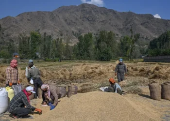 India climbs the Great Wall to emerge as world’s top rice producer