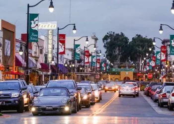 The Bay Area added 2,500 residents in 2024. Which cities grew the most?