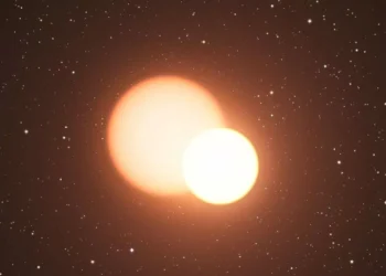 New Study Confirms TeV Halos Are Common in Middle-Aged Pulsars