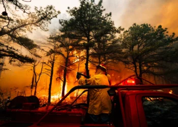 Second person charged with arson in New Jersey Pine Barrens fire
