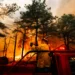 Second person charged with arson in New Jersey Pine Barrens fire