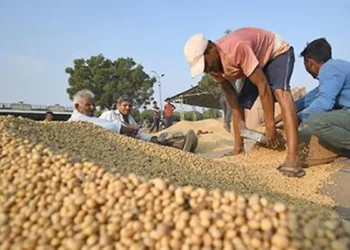 Global grains and oilseeds trade growth continues despite upheaval, says Rabobank