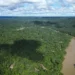 Amazon’s longest drought experiment reveals alarming forest decline