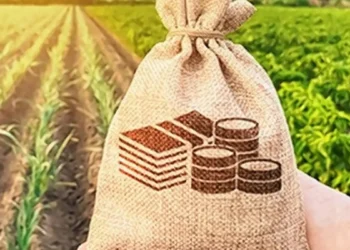 Agri trading co IFL Enterprises turns corner, reports ₹3 cr profit in Q4